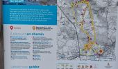 Trail Walking Plouay - PR_56_Plouay_AA_01_Manehouarn-Au-Scorff_Circuit1b_20240904 - Photo 13