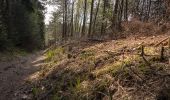 Trail On foot Aachen - Waldrundweg Blau 2 - Photo 3