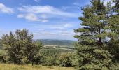 Tocht Stappen Marcoux - Ballade au volcan Montaubourg  - Photo 4