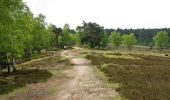 Percorso A piedi Sconosciuto - Wander-Tour Fischbeker Heide - Photo 2