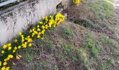 Percorso Marcia Chantemerle-les-Blés - Chantemerle les blés  - Photo 1