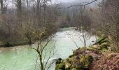 Trail Walking Chaux-des-Crotenay - Autour du plateau de chaux des Crotenay - Photo 7