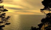 Trail Walking Bandol - Boucle Bandol - Port d'Alon - Dune de sable - La Madrague - Port d'Alon - Bandol - Photo 6