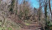 Trail Walking Liège - st Martin . Bernalmont . parc Reine Astrid . retour  - Photo 18