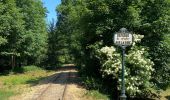 Trail Walking Manhay - Moulin de Lafosse - Photo 10