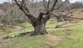 Randonnée Marche Sare - Atxuria ou Pena Plata, - Photo 5