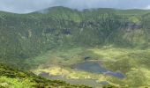 Trail Walking Flamengos - FAI GR01 : De volcan en volcan, Faial, Azores - Photo 5