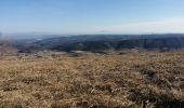 Tour Wandern Saint-Andéol-de-Berg - Saint andeol de berg - Photo 2