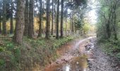 Trail Walking Marche-en-Famenne - adeps Ligniere  - Photo 3