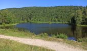 Tour Mountainbike Gerdsee - Gérardmer La Bresse Le Honneck AR - Photo 8