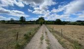 Tocht Stappen Comblain-au-Pont - Pont de Scay 20 Km  - Photo 20