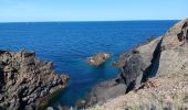 Randonnée Marche Cerbère - village des aloès - cap cerbère/ aller-retour - Photo 3