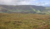 Tocht Stappen West Cork - Glengarriff - Ardrigole - Photo 7