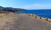 Randonnée Marche Cerbère - village des aloès - cap cerbère/ aller-retour - Photo 5