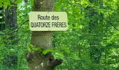 Trail Walking Ormoy-le-Davien - 030422 - Direction Vaucienne puis Vaumoise et Cave du diable - Photo 3