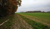 Randonnée Marche Villedômer - la Grand'Vallée - Saint-Laurent-en-Gâtines via PRs - 26.8km 225m 5h35 (35mn) - 2022 12 03 - Photo 4