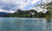 Trail Walking Bled - bled - tour du lac - Photo 13