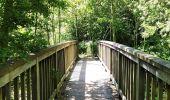 Trail Walking Tongeren - Promenade dans la réserve naturelle de Kevie - Photo 2