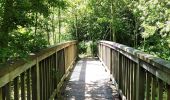 Tocht Stappen Tongeren - Promenade dans la réserve naturelle de Kevie - Photo 2