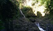 Trail Walking Goyave - cascade bras de fort - Photo 5