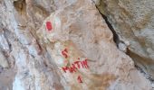 Tocht Stappen Ollioules - Grottes St Martin 1et 2 + Christianisée - Photo 19