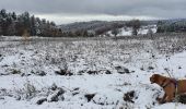 Tocht Mountainbike Rozier-en-Donzy - neige dimanche 28 novembre  - Photo 2