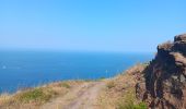 Tour Wandern Banyuls-sur-Mer - cap del troc . coll de gran bau . cap réderis . retour par le chemin du littoral  - Photo 11