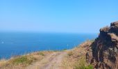 Trail Walking Banyuls-sur-Mer - cap del troc . coll de gran bau . cap réderis . retour par le chemin du littoral  - Photo 11