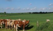 Tour Zu Fuß Gerswalde - Stiernseerundweg - Photo 4