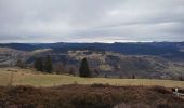 Tocht Stappen Basse-sur-le-Rupt - circuit menufosse pierre des 4 Communes chalet des charmes - Photo 5