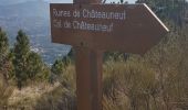 Trail Walking Châteauneuf-Villevieille - Mt Maccaron - Photo 13