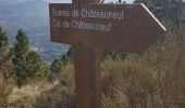 Tocht Stappen Châteauneuf-Villevieille - Mt Maccaron - Photo 13