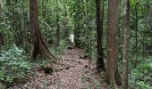 Tour Wandern Sainte-Luce - Forêt de Montravail  - Photo 1