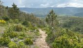 Trail Walking Moustiers-Sainte-Marie - Moustier route romaine 11,5 Km - Photo 6