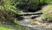 Tour Wandern Ottignies-Louvain-la-Neuve - #240412 - 3 bois : de Bustons, des Corbeaux et des Volontaires (courte) - Photo 11