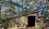 Tour Wandern Collobrières - La Verne - Cèdres de Ragusse by DAL - Photo 4