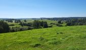 Trail Walking Hamois - Hamois 070923 - Photo 5