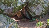 Tocht Stappen Fontainebleau - Fontainebleau sentier Denecourt Colinet 4 - Photo 16