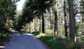 Trail Walking Vianden - Randonnée au  Natuurpark à partir de Vianden - Photo 3