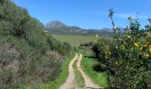 Tocht Stappen Casares - Cassâtes - Photo 1