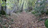 Trail Walking La Bourboule - Bourboule-puy-st-roch-retour-Bourboule - Photo 17