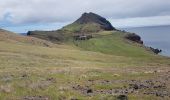 Trail Walking Caniçal - Madère : la presqu'île de Sao Lourenço - Photo 19