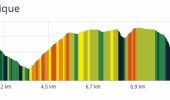 Tour Wandern Bormes-les-Mimosas - SityTrail - Bormes les Mimosas - ND de Constance - Cols de Gratteloup et Landon - Photo 1