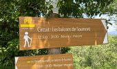 Trail  Saint-Privat - Grand mont Soumont Le Bosc  - Photo 5