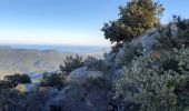 Tocht Stappen La Garde-Freinet - les roches blanches - La Garde Freinet - Photo 4