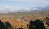 Trail Walking Artignosc-sur-Verdon - Boucle du verdon - Photo 3