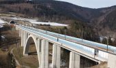 Tour Zu Fuß Schalkau - Rundwanderweg um Truckenthal 1 - Photo 7