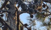 Tour Wandern Sainte-Maxime - Sainte Maxime La Nartelle - par les Sardinaux - Photo 12