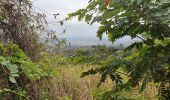 Randonnée Marche Guayaquil - Cerro Azul (Antenas) de ESPOL - Photo 5