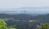 Trail Walking La Londe-les-Maures - Dolmen de Gaoutabry - Photo 5